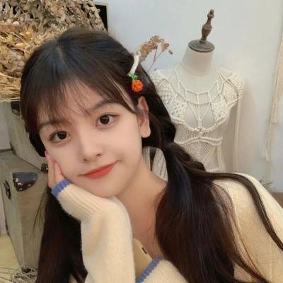 双面骗子虚假警察第二季